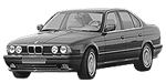 BMW E34 P1A0F Fault Code